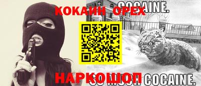 молекула духа Заводоуковск
